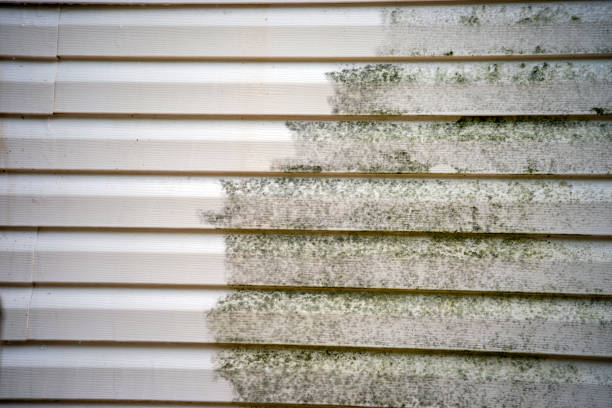 Best Engineered Wood Siding  in York, AL