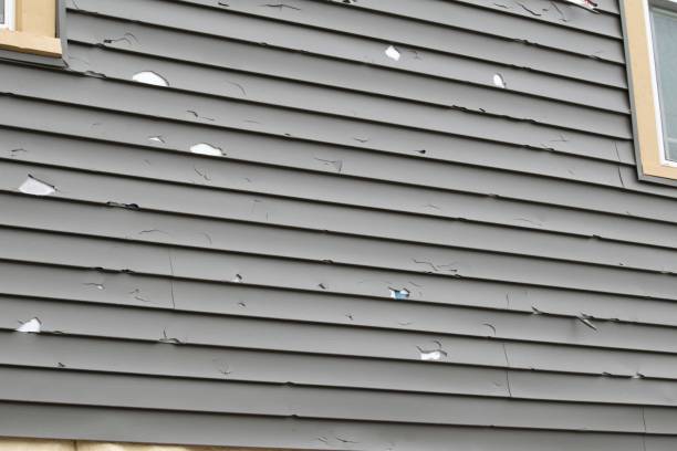 Best Engineered Wood Siding  in York, AL