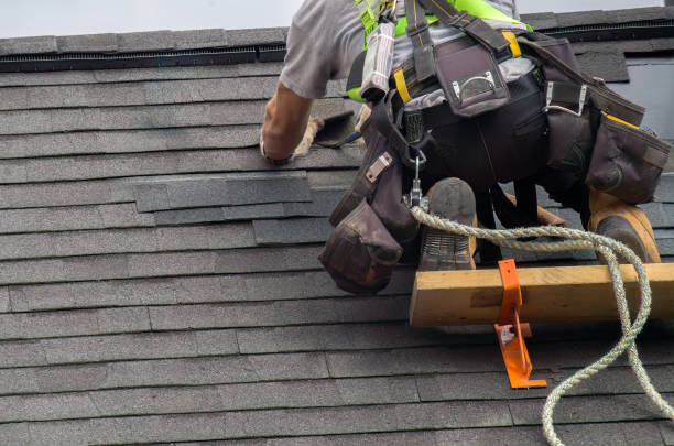 Affordable siding repair and maintenance services in York, AL