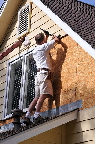 Best Siding Painting and Refinishing  in York, AL