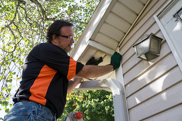 Best Fiber Cement Siding Installation  in York, AL